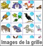 images de la grille
